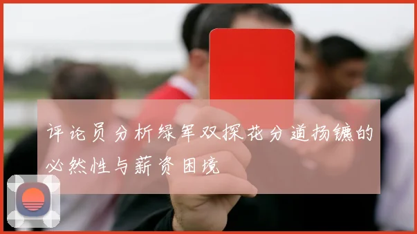 评论员分析绿军双探花分道扬镳的必然性与薪资困境